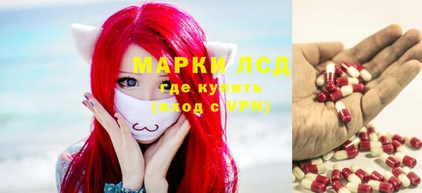 spice Богородицк