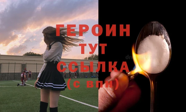 spice Богородицк