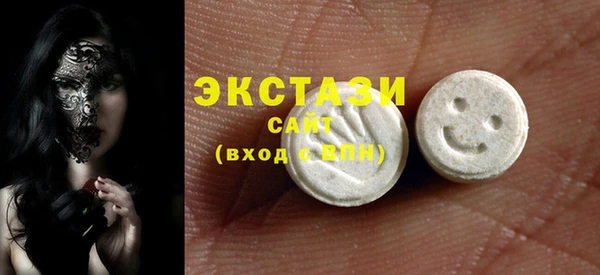 spice Богородицк