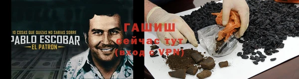 spice Богородицк