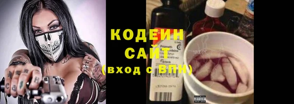 spice Богородицк