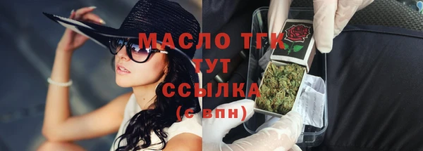 spice Богородицк