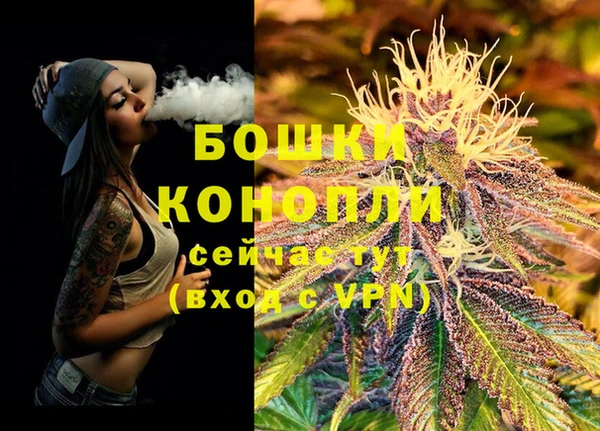 spice Богородицк