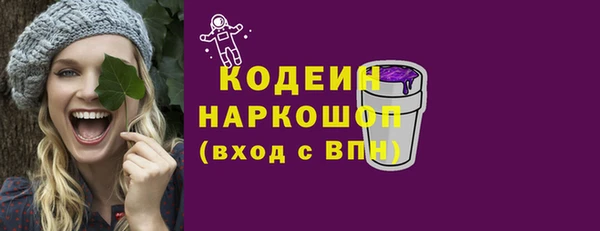 spice Богородицк