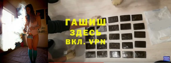 spice Богородицк