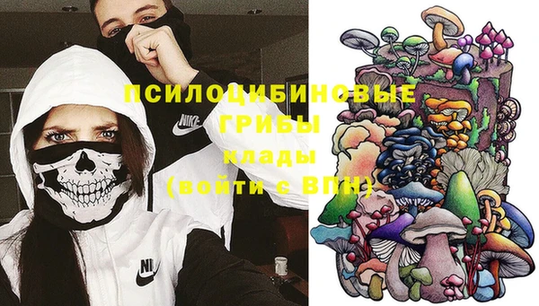 синтетический гашиш Богданович