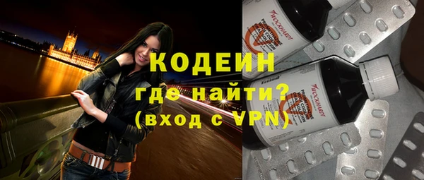 spice Богородицк