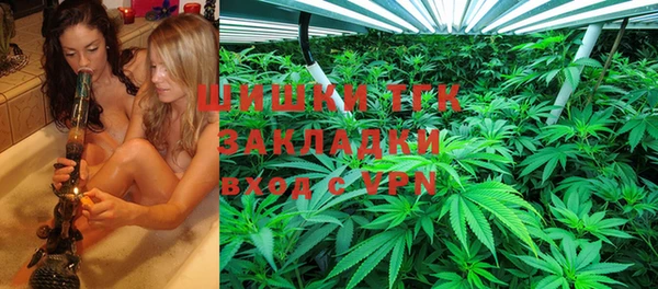 spice Богородицк